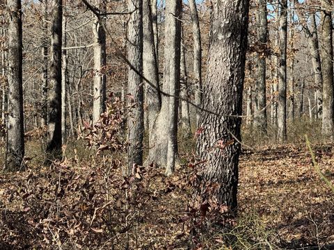 0 Ridgewood Drive Mc Ewen TN 37101