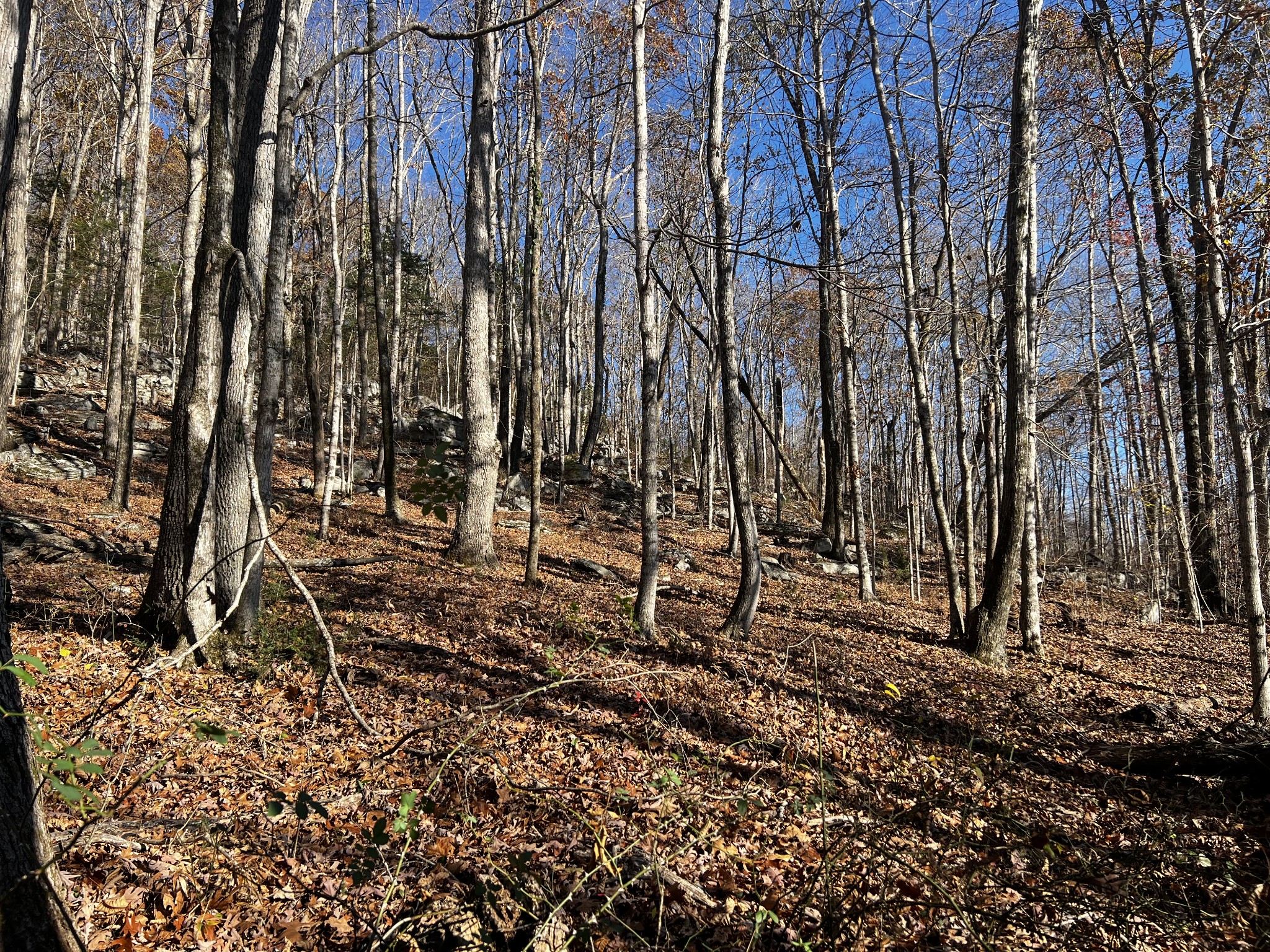 0 Rocky Point Rd