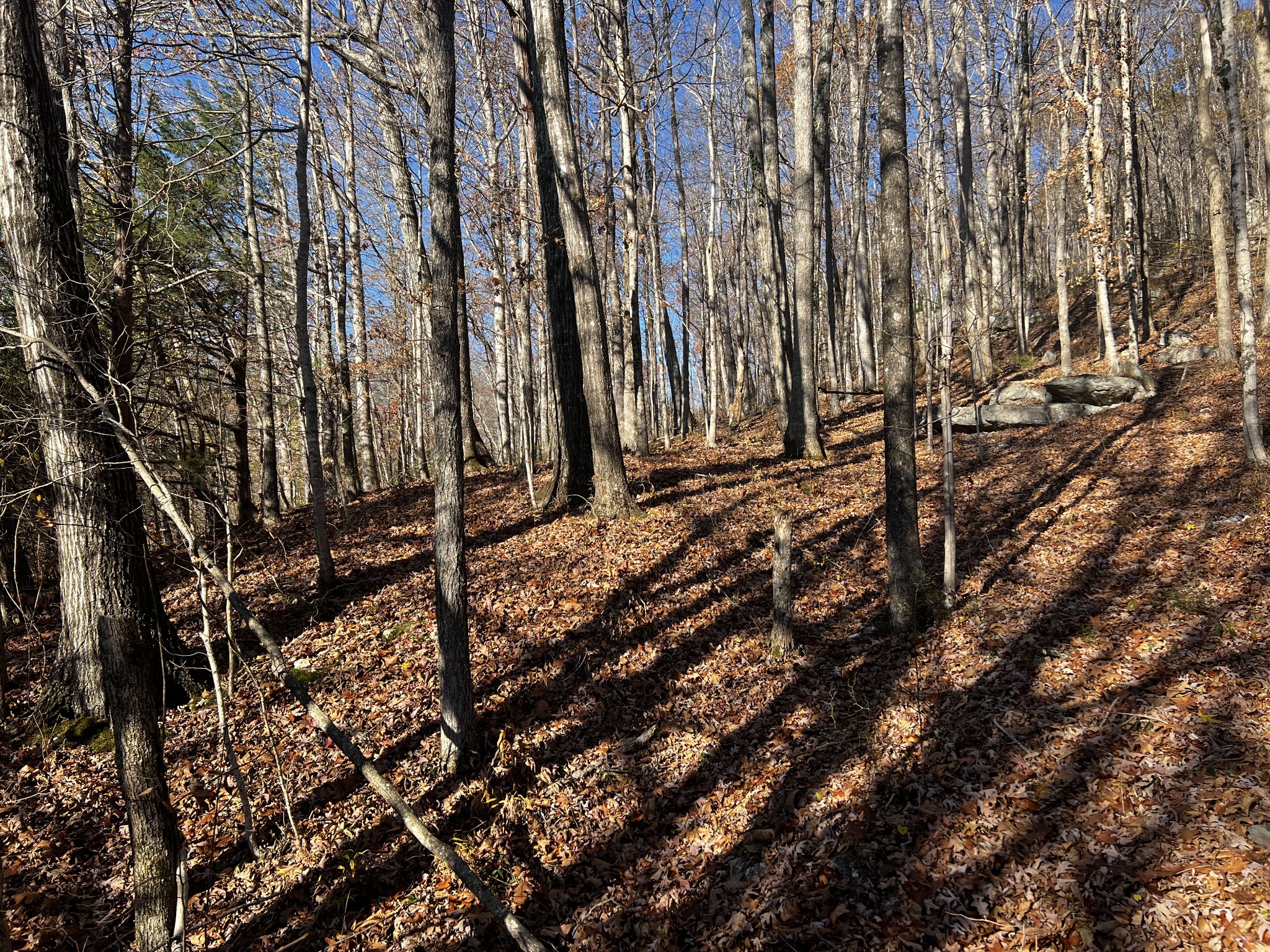 0 Rocky Point Rd