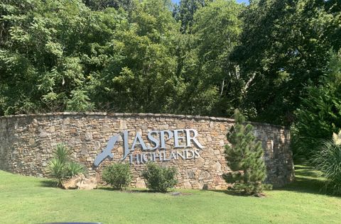 4430 Crockett Pointe Jasper TN 37347
