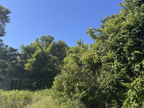699 White Rd Wartrace TN 37183