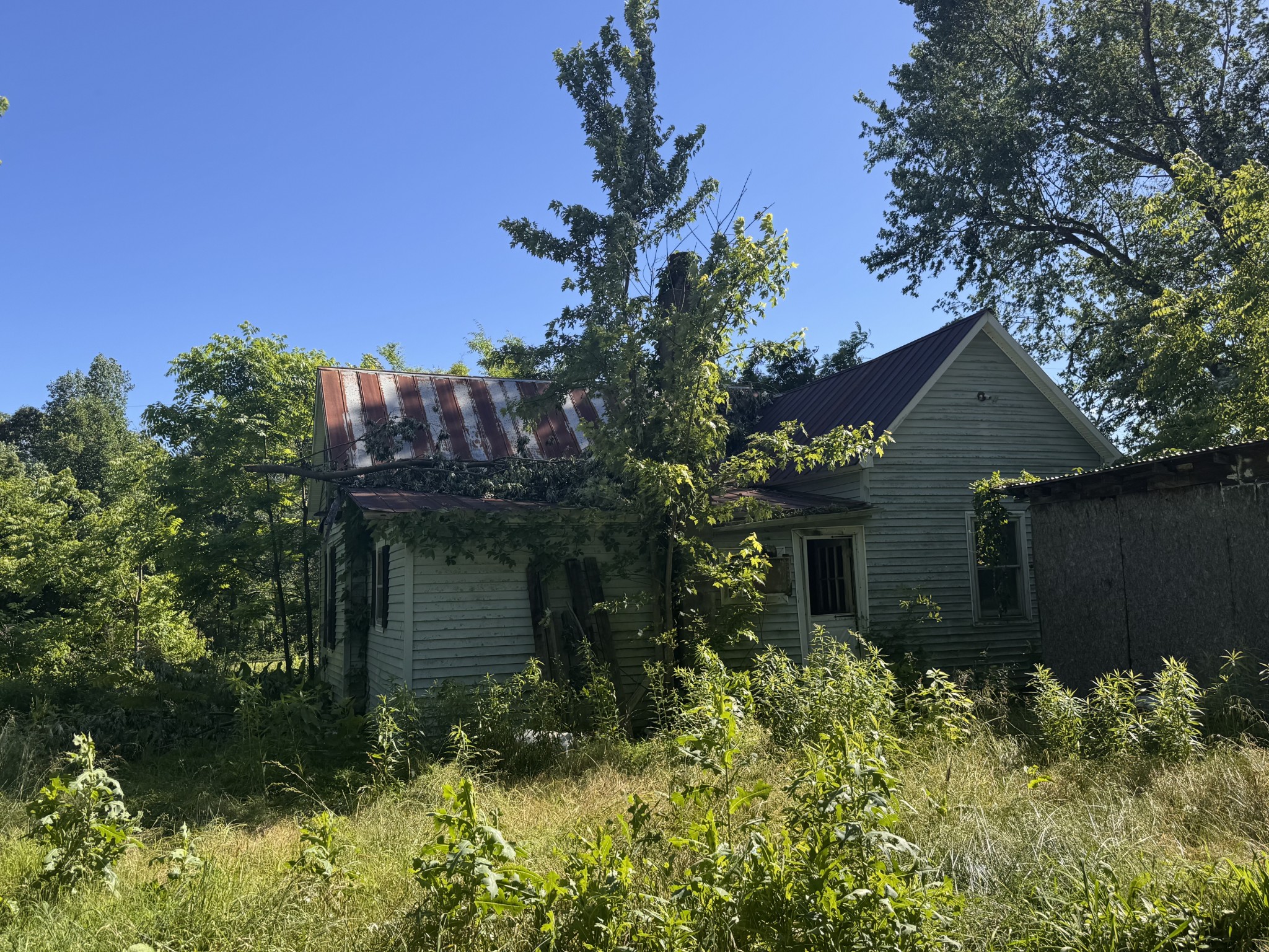 699 White Rd