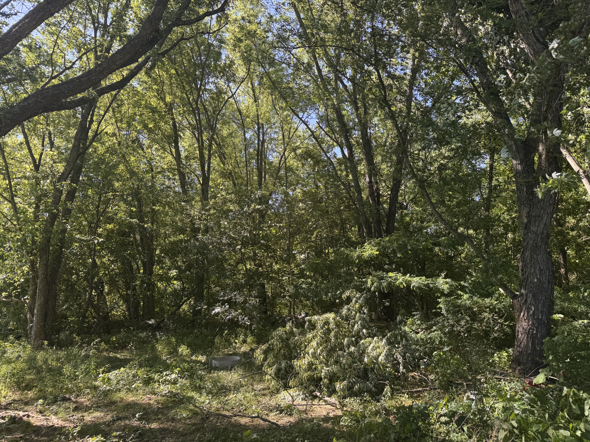 699 White Rd