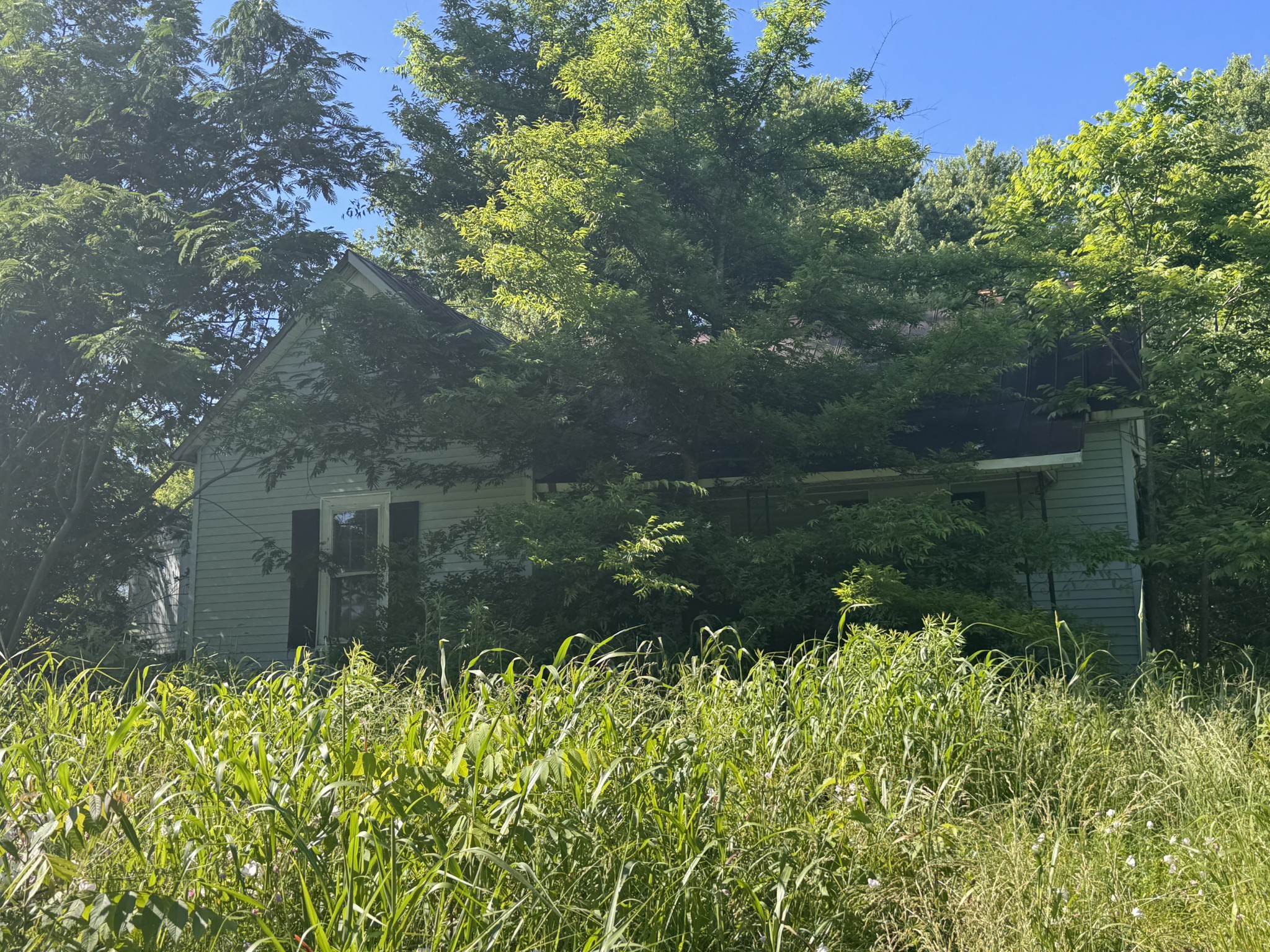 699 White Rd