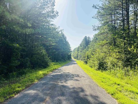 0 OLD LULA RD Reagan TN 38368