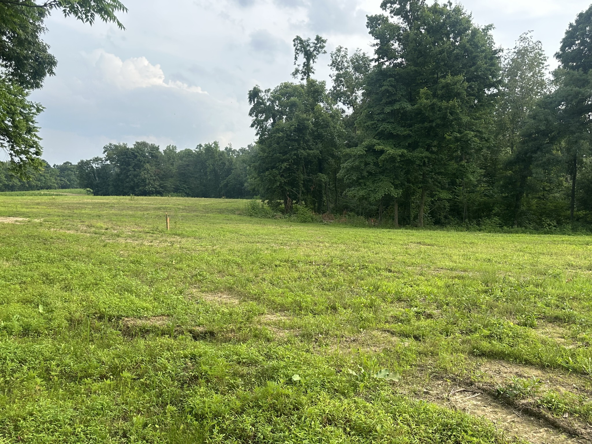 0 Annie Hollow Rd