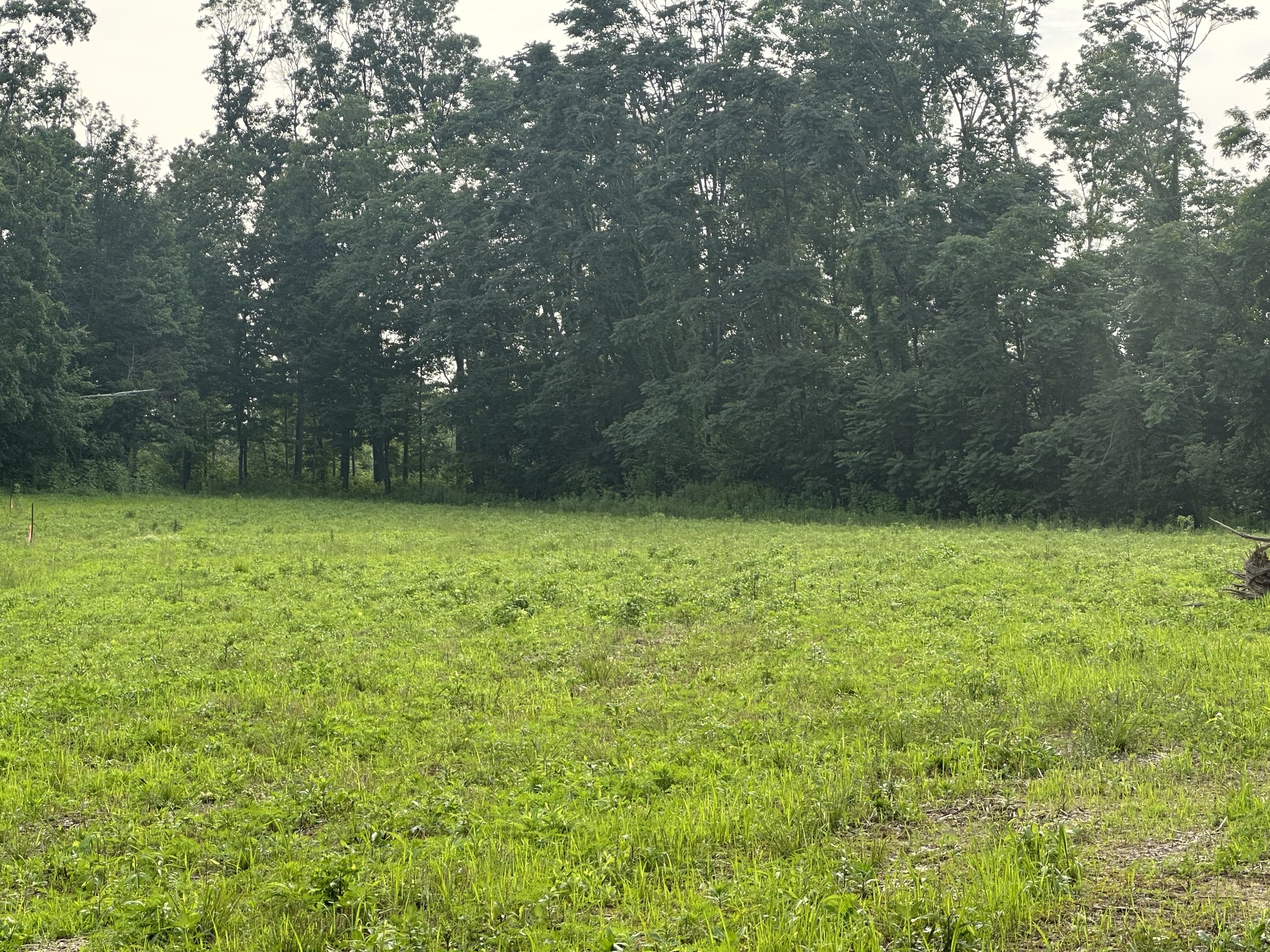 0 Annie Hollow Rd