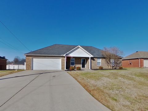 Photo of 7029 Bridgewater Dr, Smyrna, TN 37167 (MLS # 3132089)