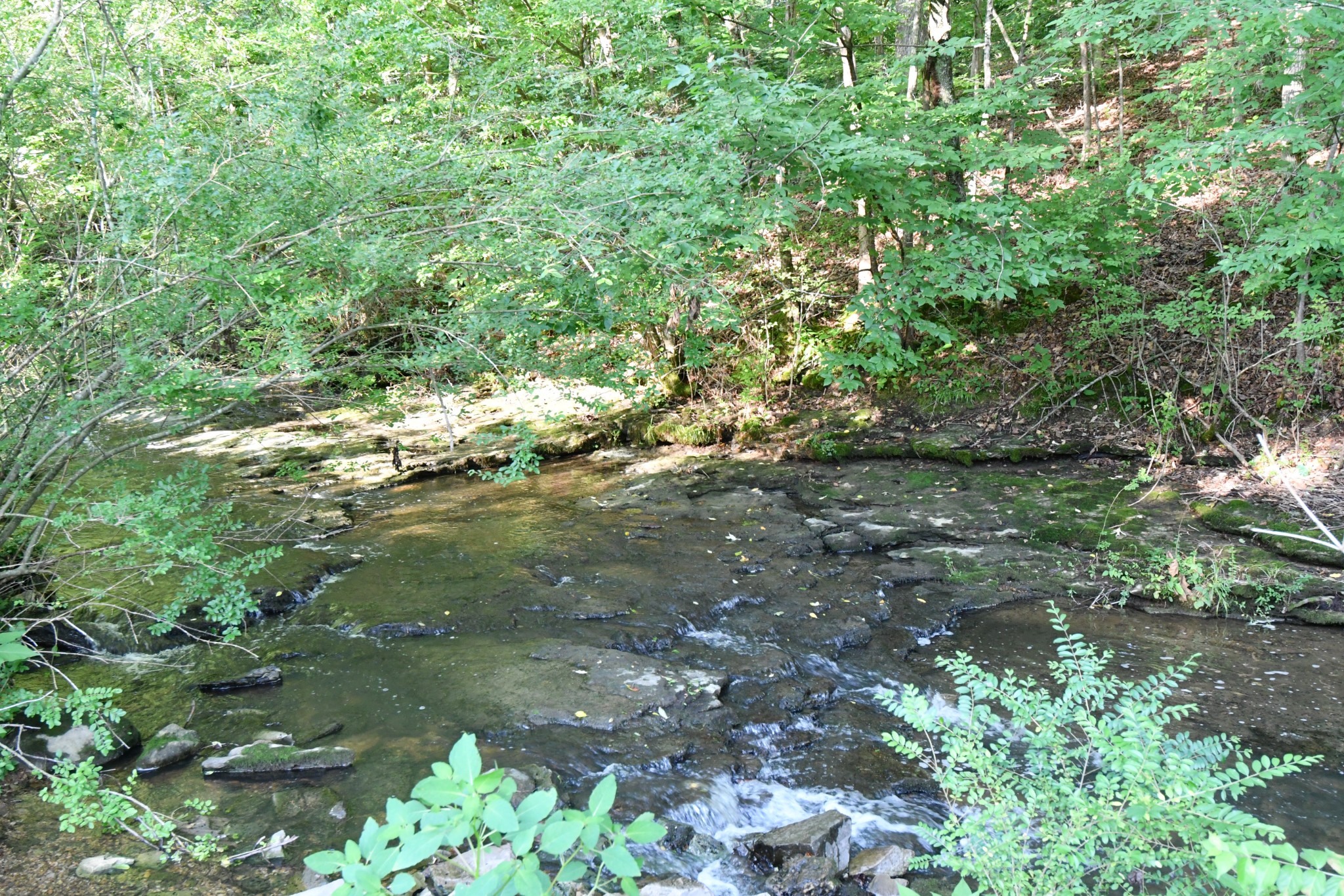 398 Elmore Town Rd