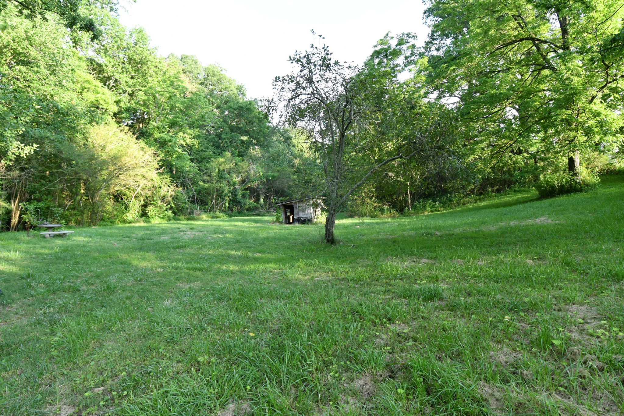 398 Elmore Town Rd