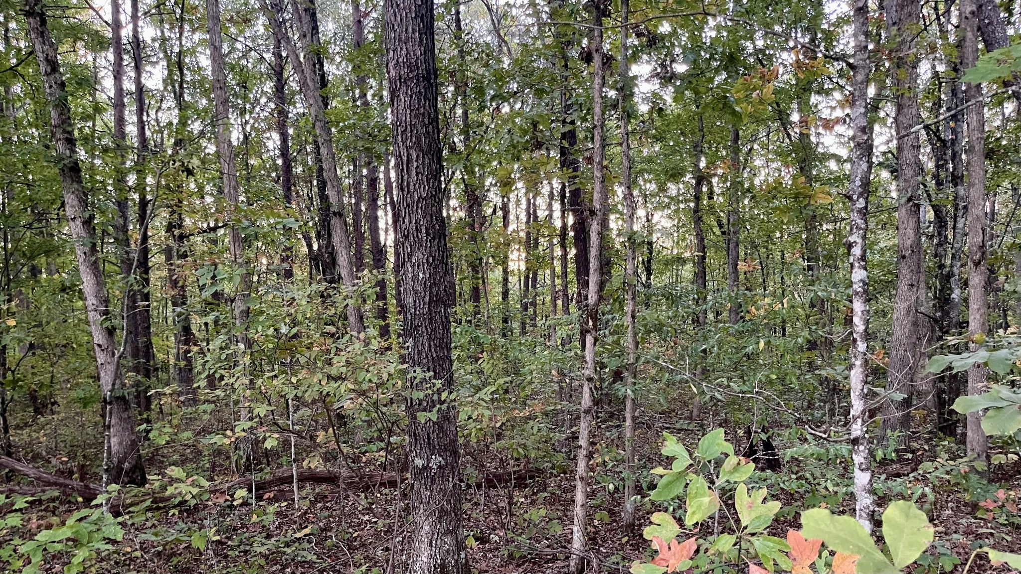 600 Running Deer Road