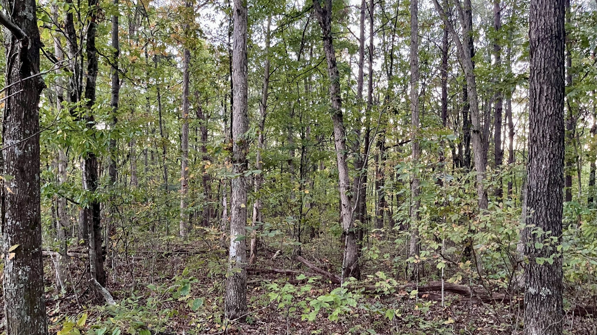 600 Running Deer Road