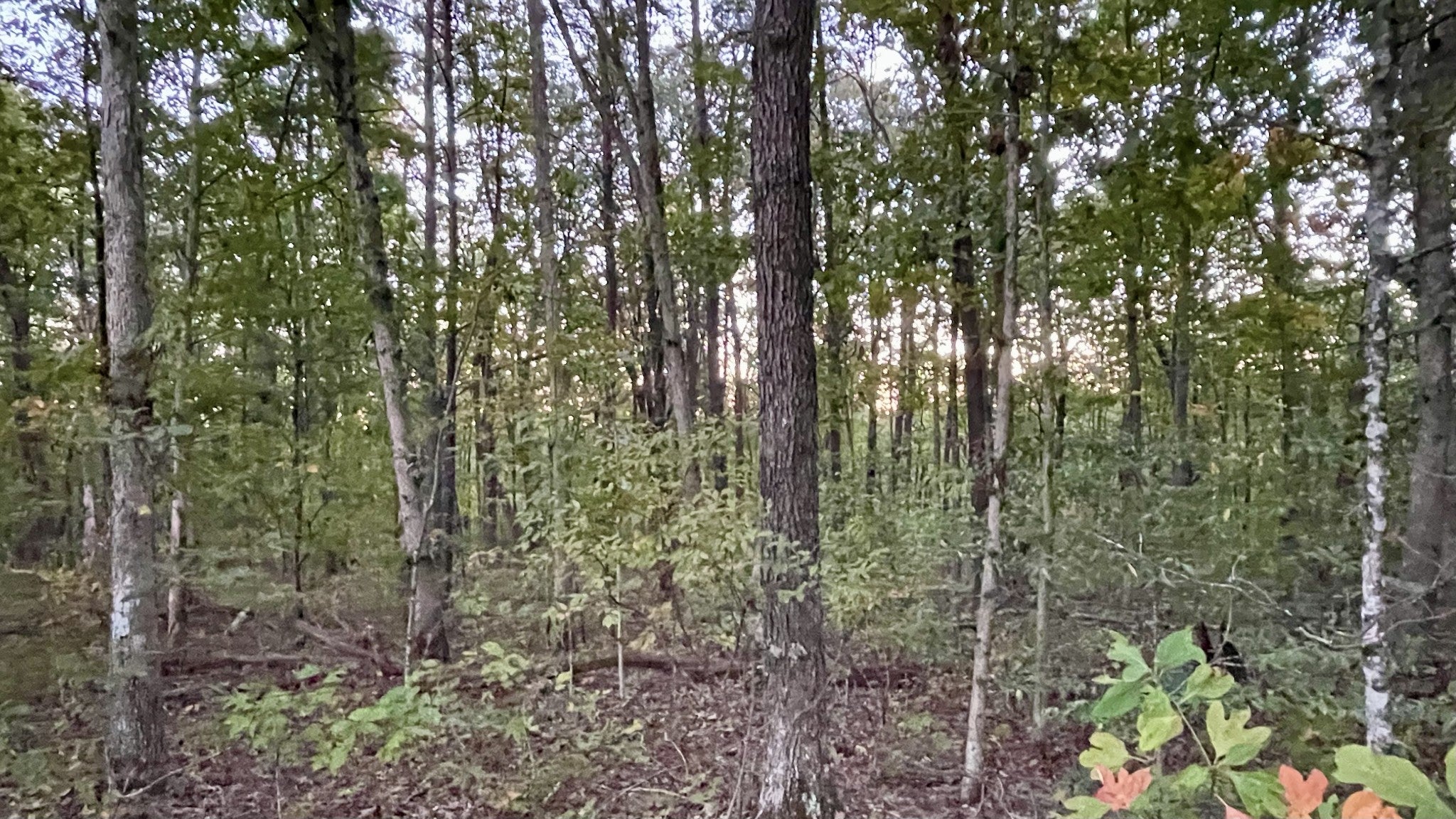 600 Running Deer Road