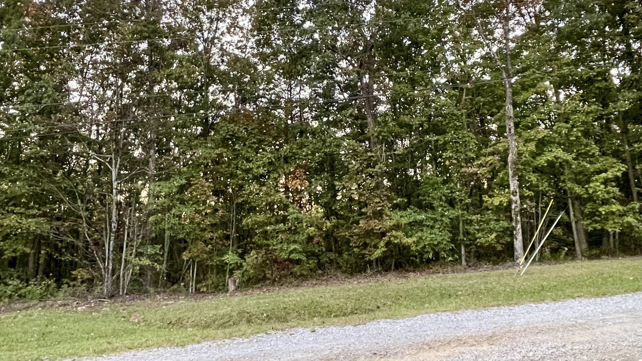 600 Running Deer Road