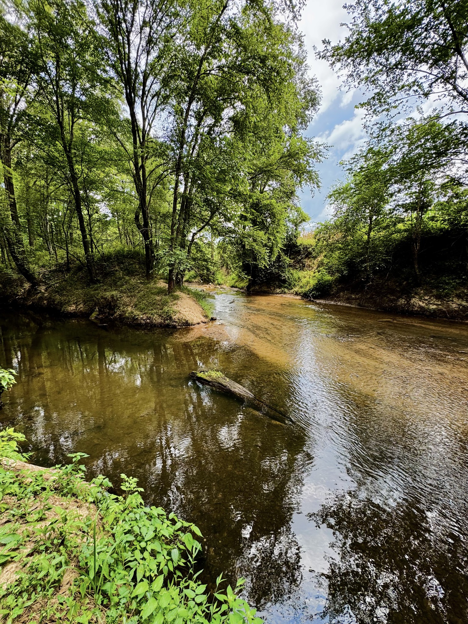 320 Durid Lane
