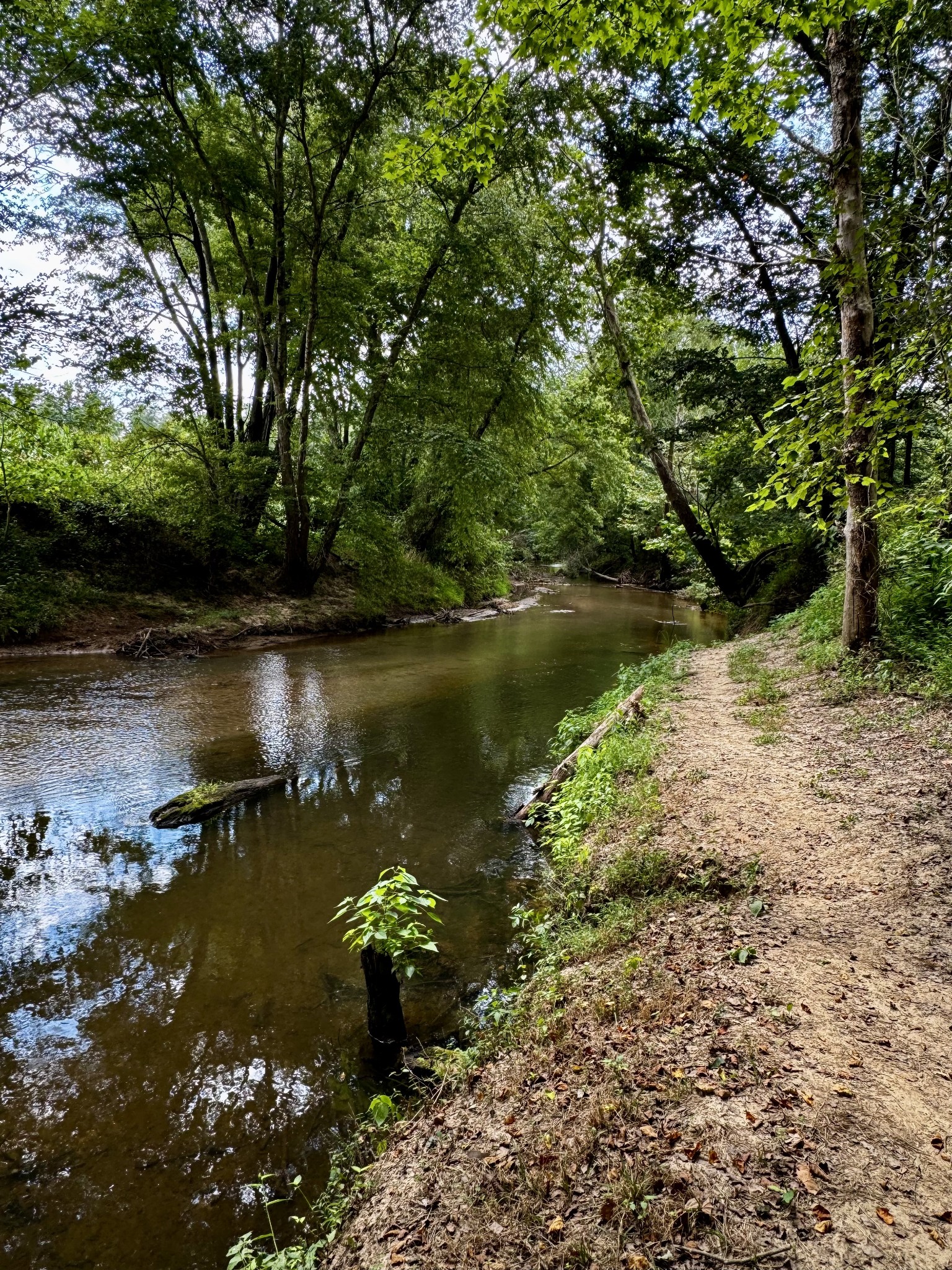 320 Durid Lane