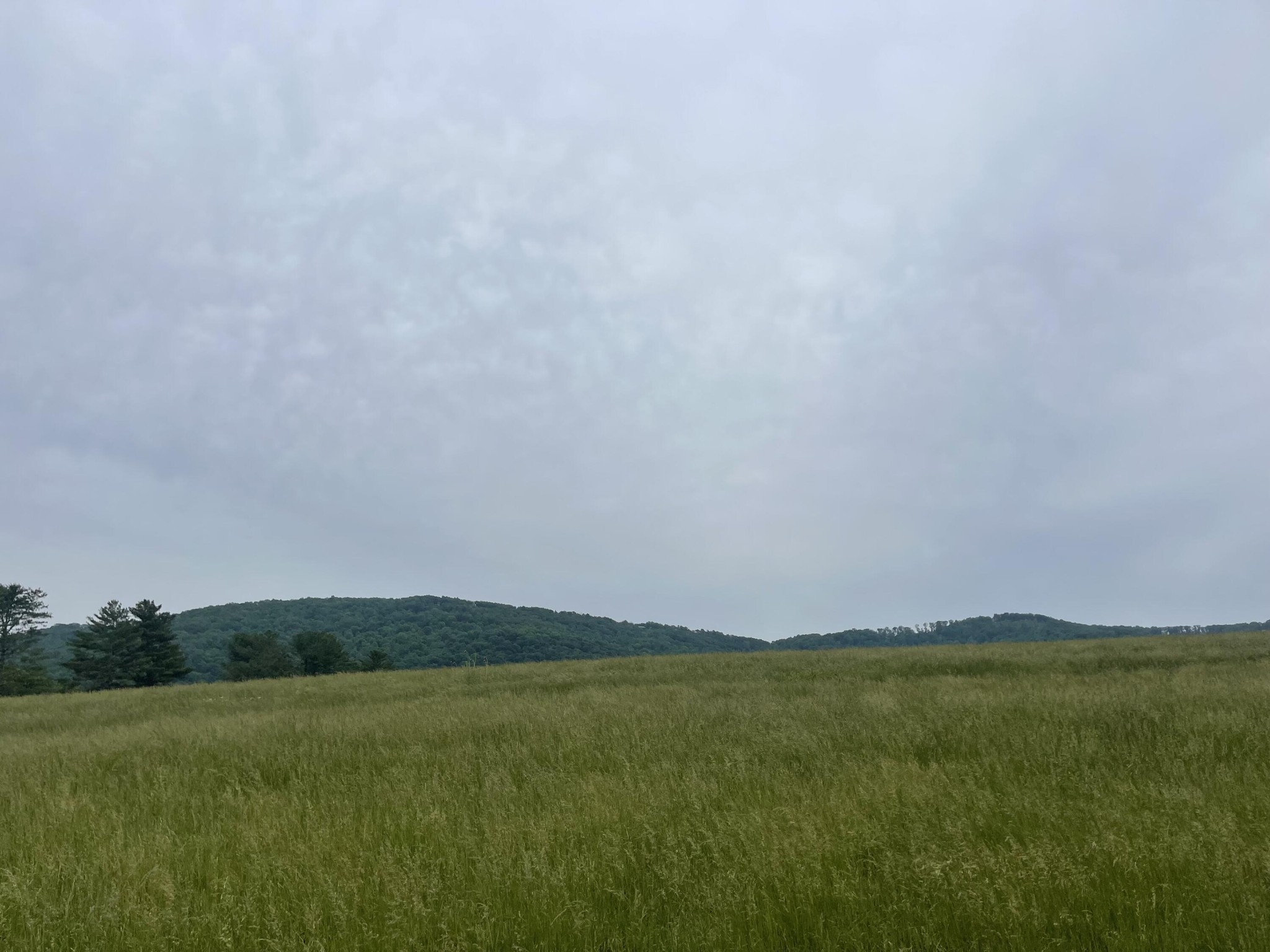 496 Aultville Trail