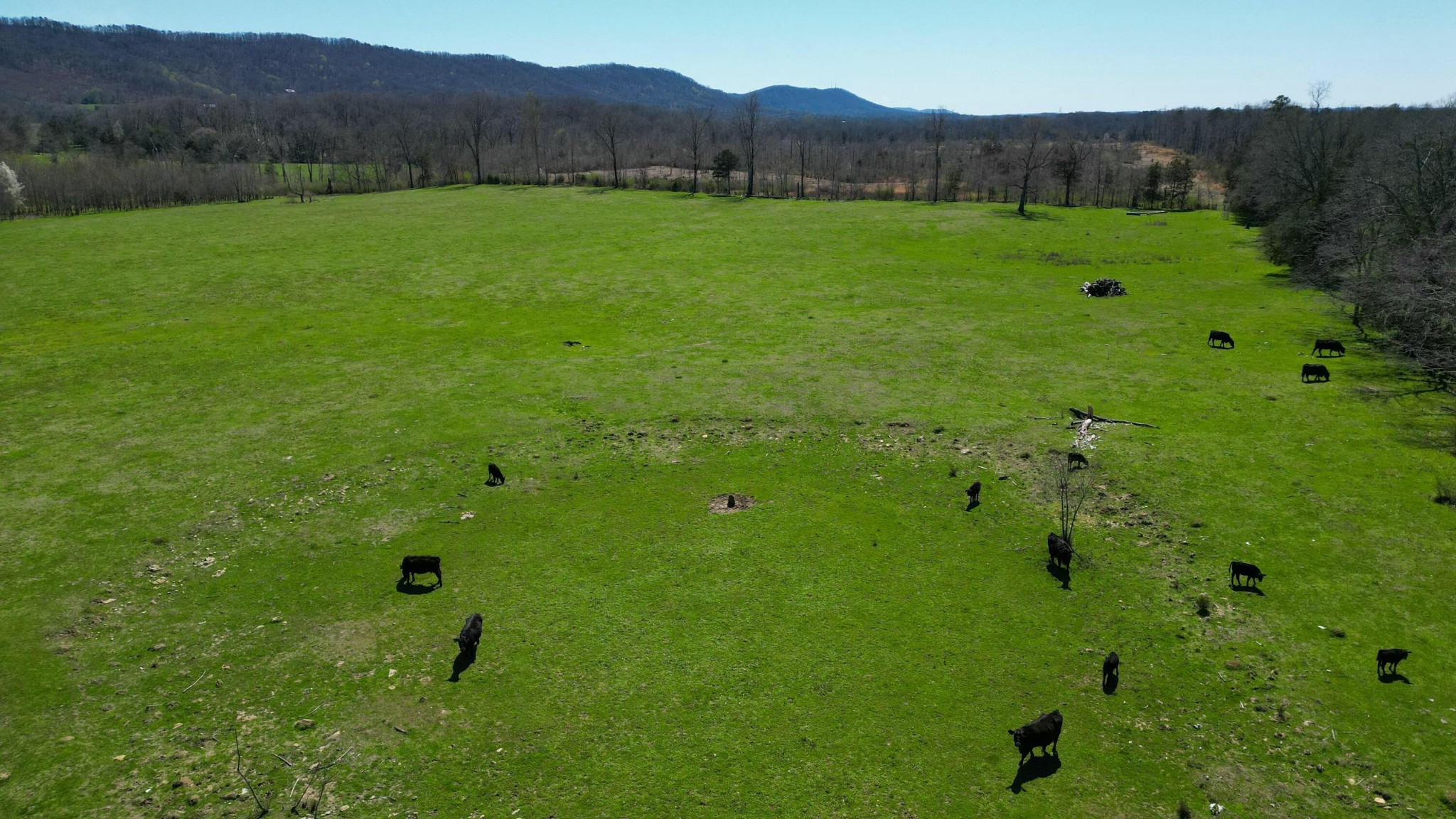 0 Ooltewah Georgetown Road