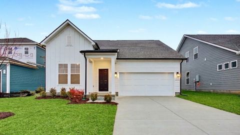 328 Black Bear Drive Mount Pleasant TN 38474