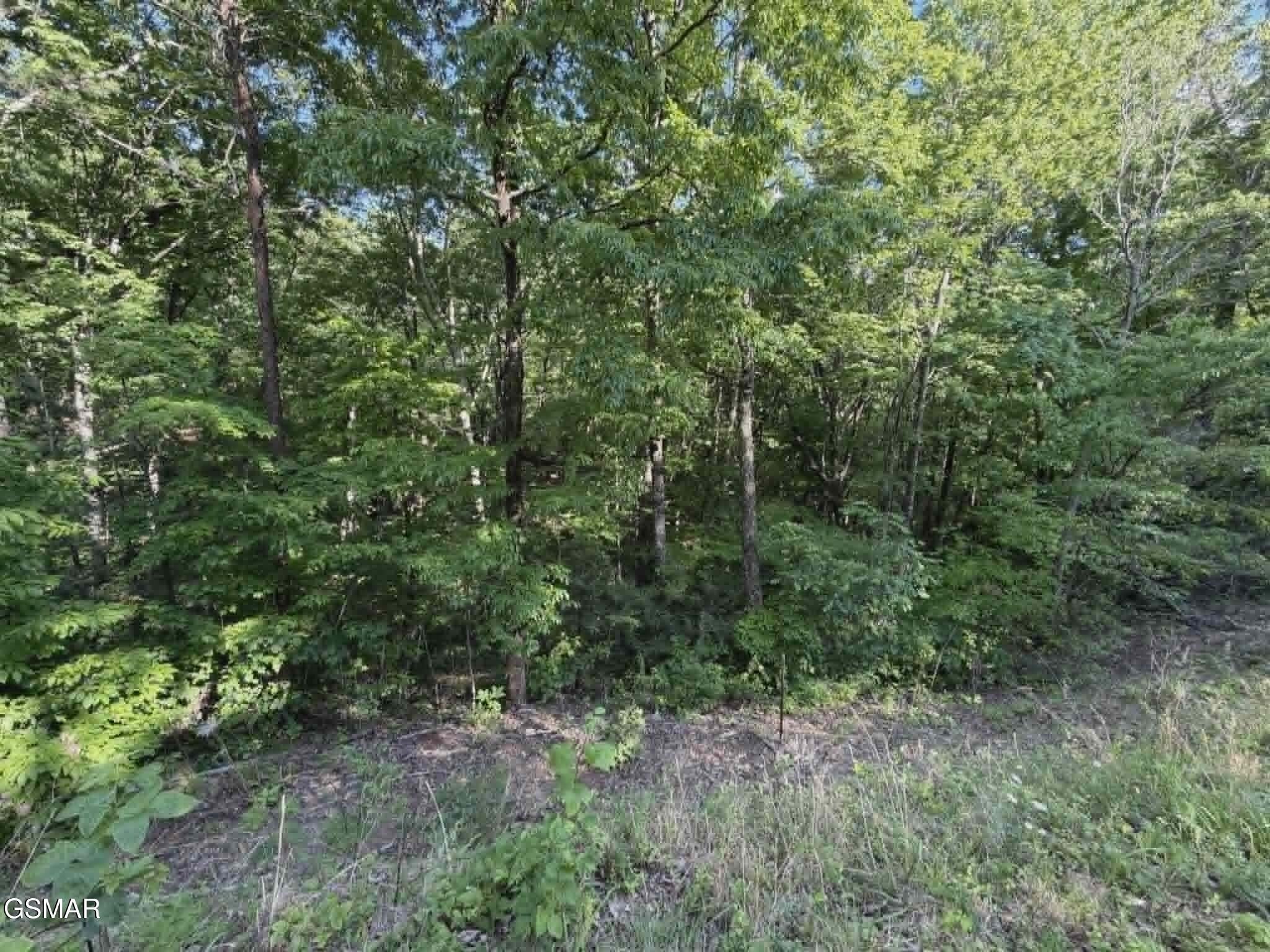 202122 Fox Hunters Lane