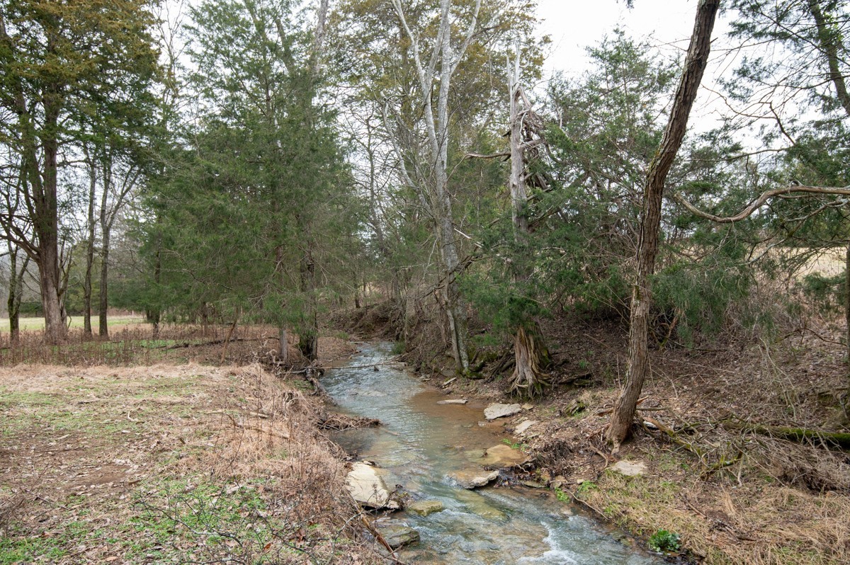 535 Turkey Trot PVT Ln