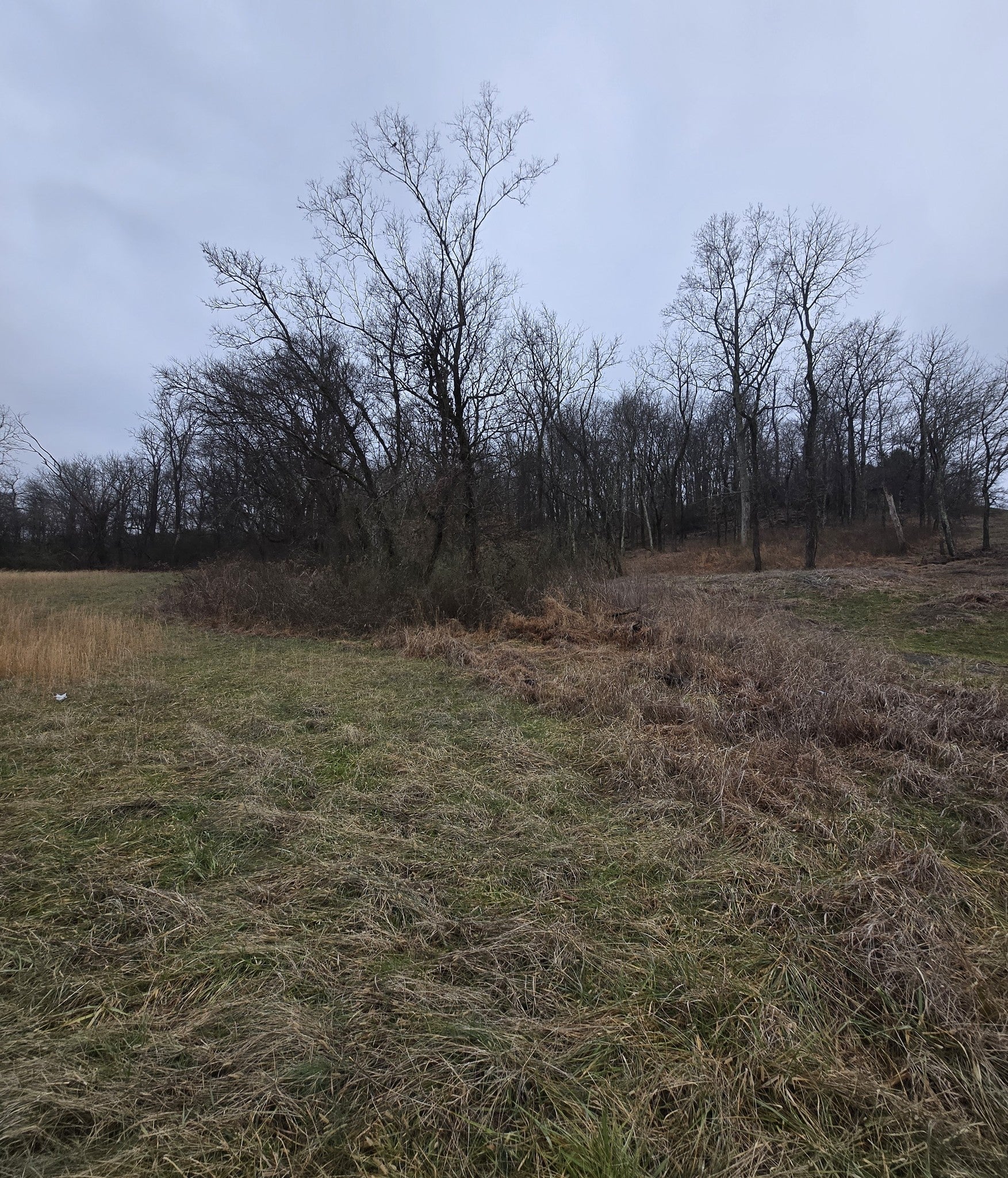 22241 Hwy 64
