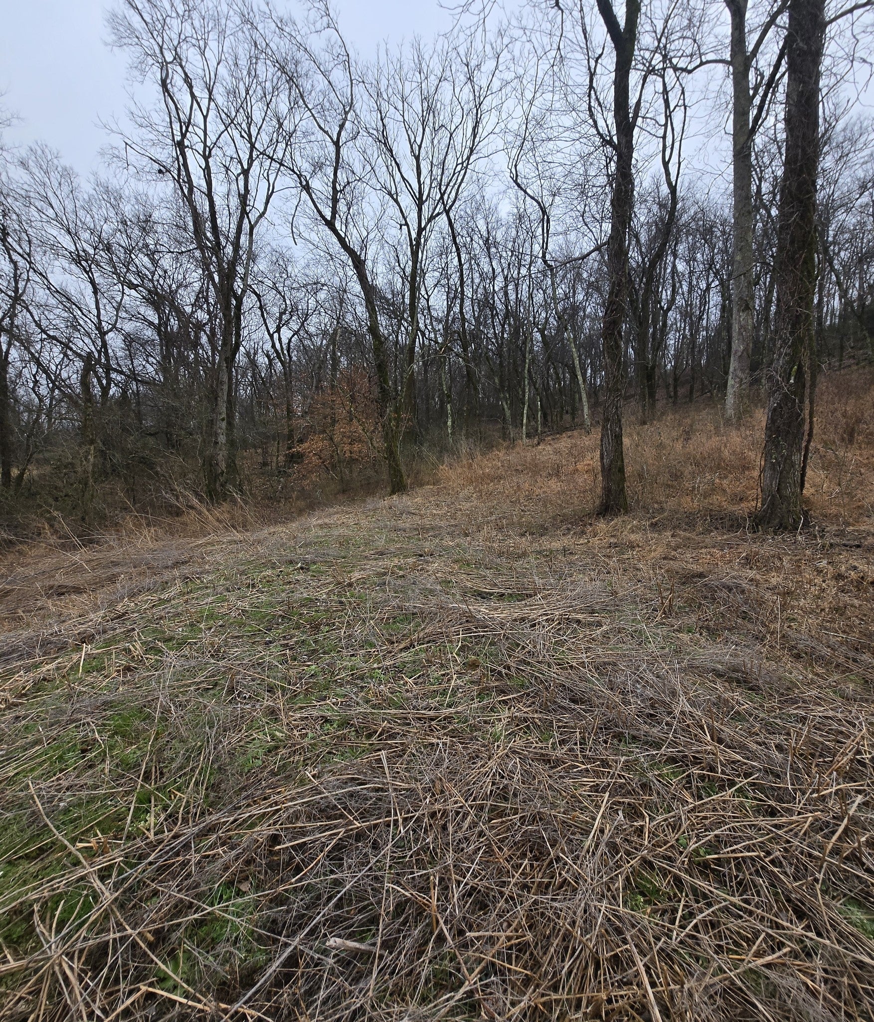 22241 Hwy 64
