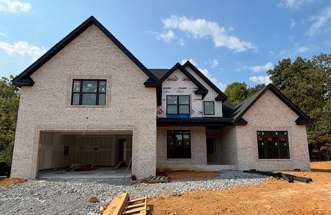 420 Young lane Pleasant View TN 37146