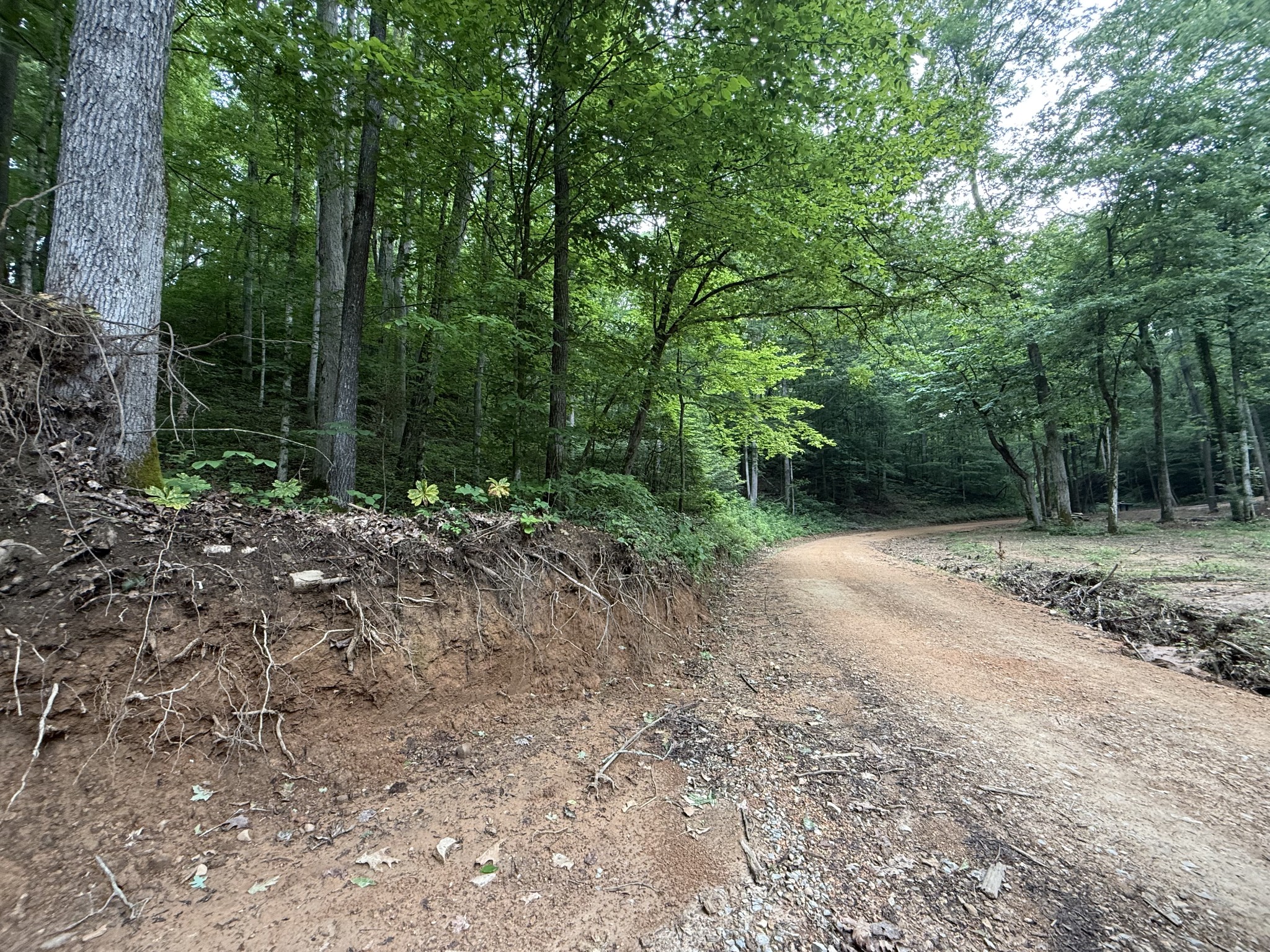 0 Hassell Creek Rd