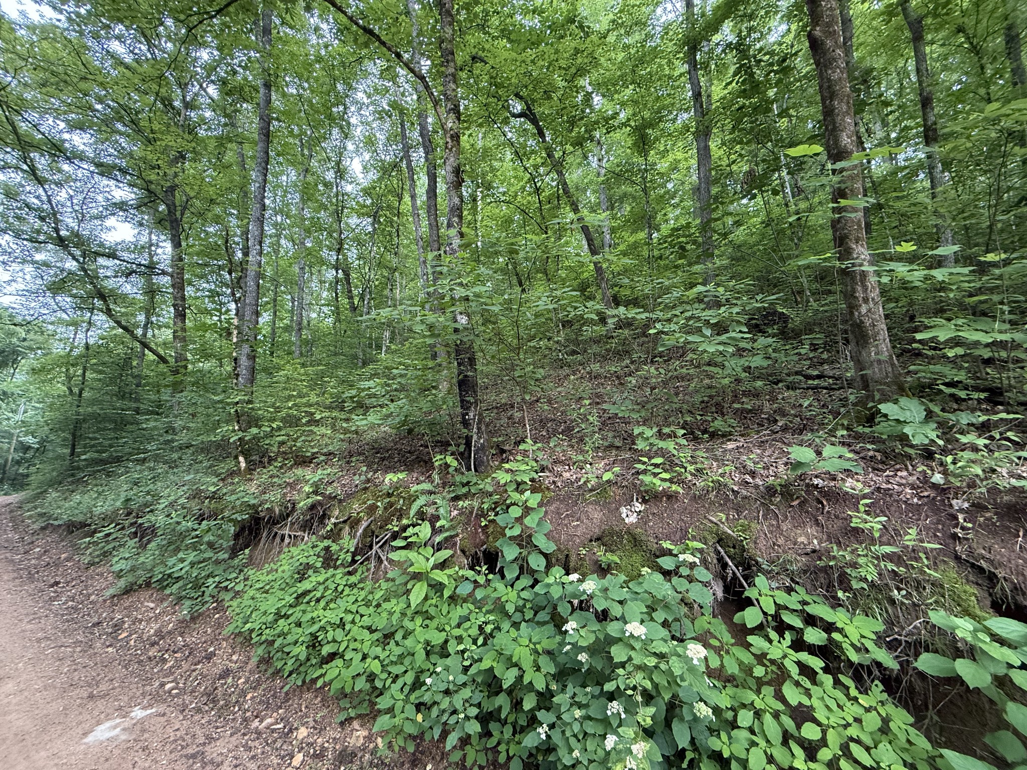 0 Hassell Creek Rd