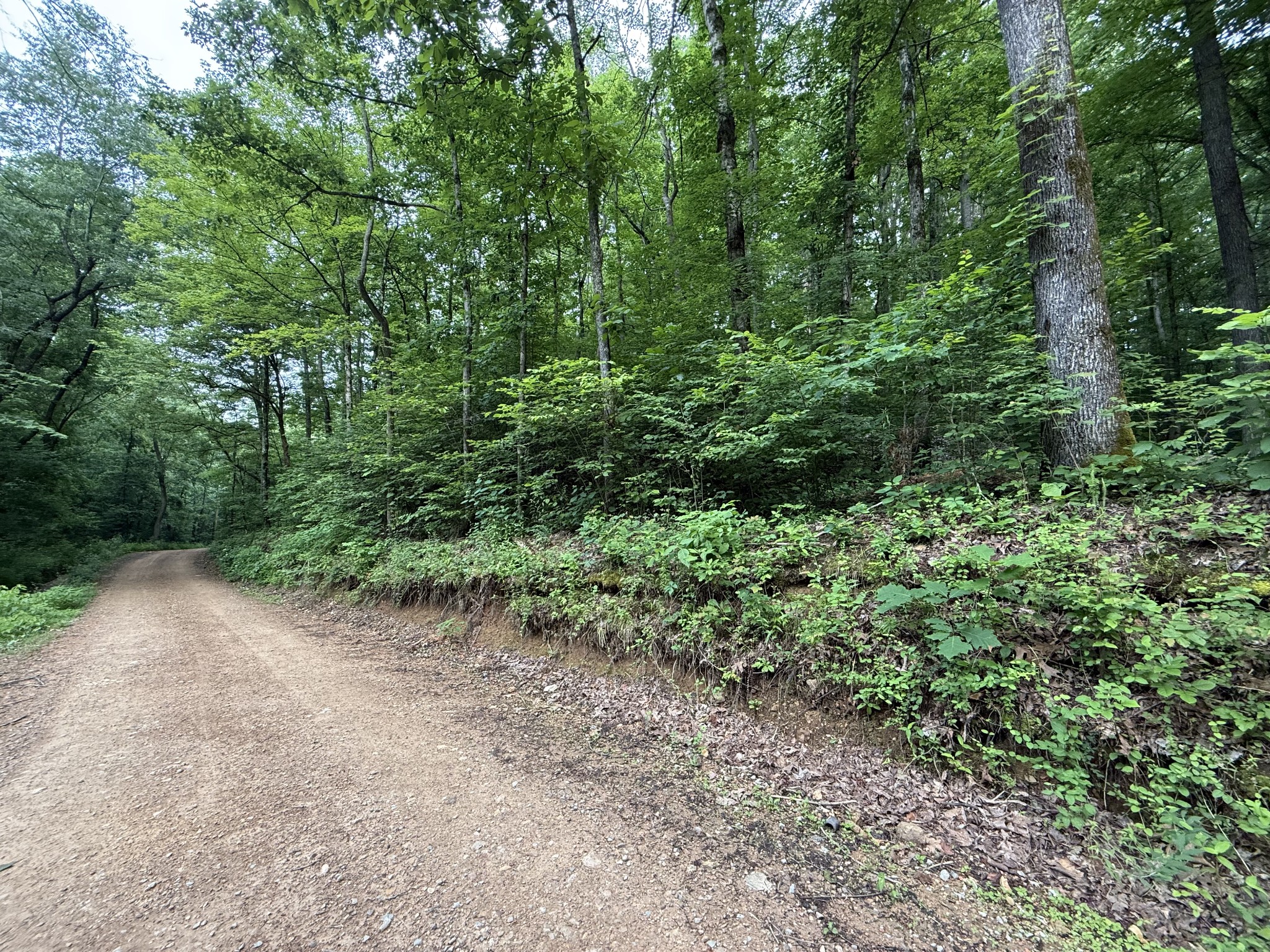 0 Hassell Creek Rd