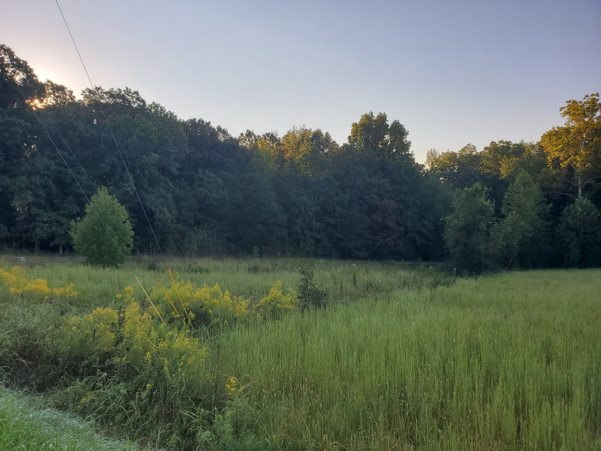 2242 Shelton Ferry Rd
