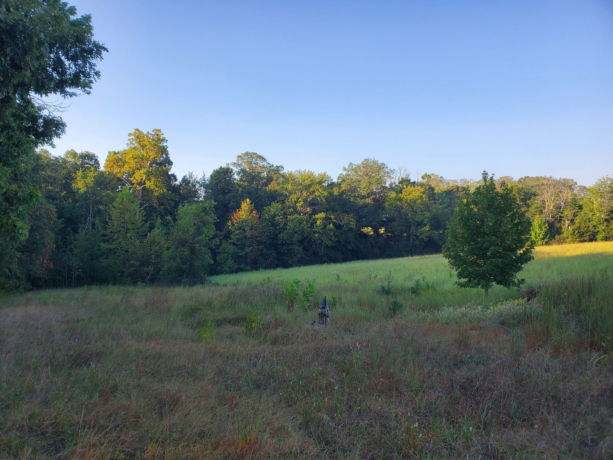 2242 Shelton Ferry Rd