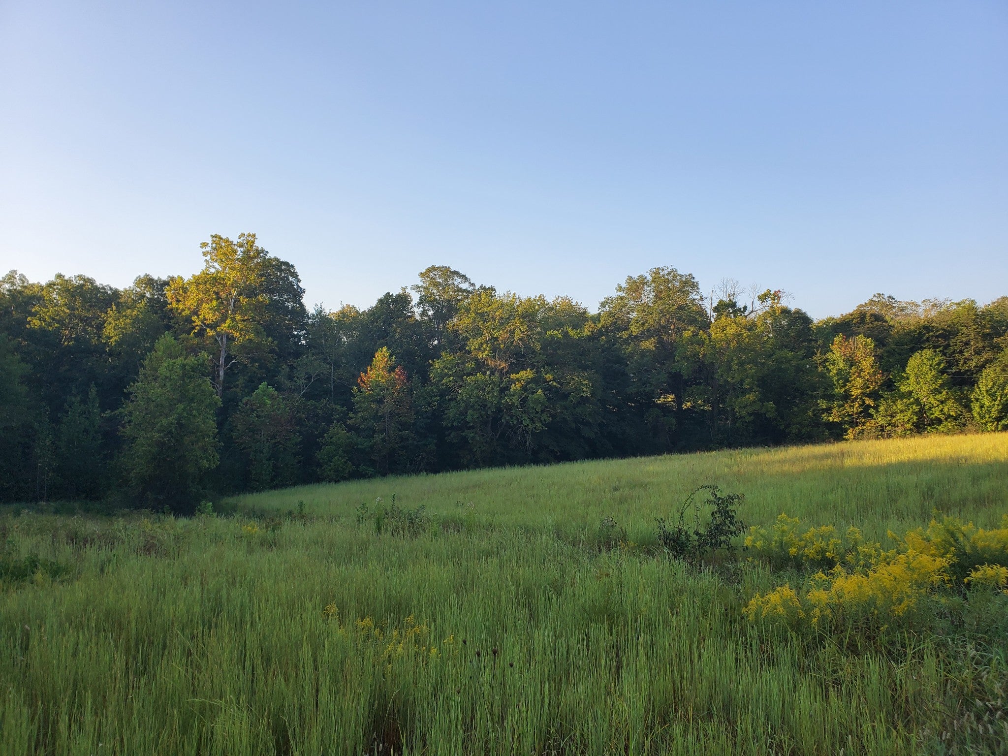 2242 Shelton Ferry Rd