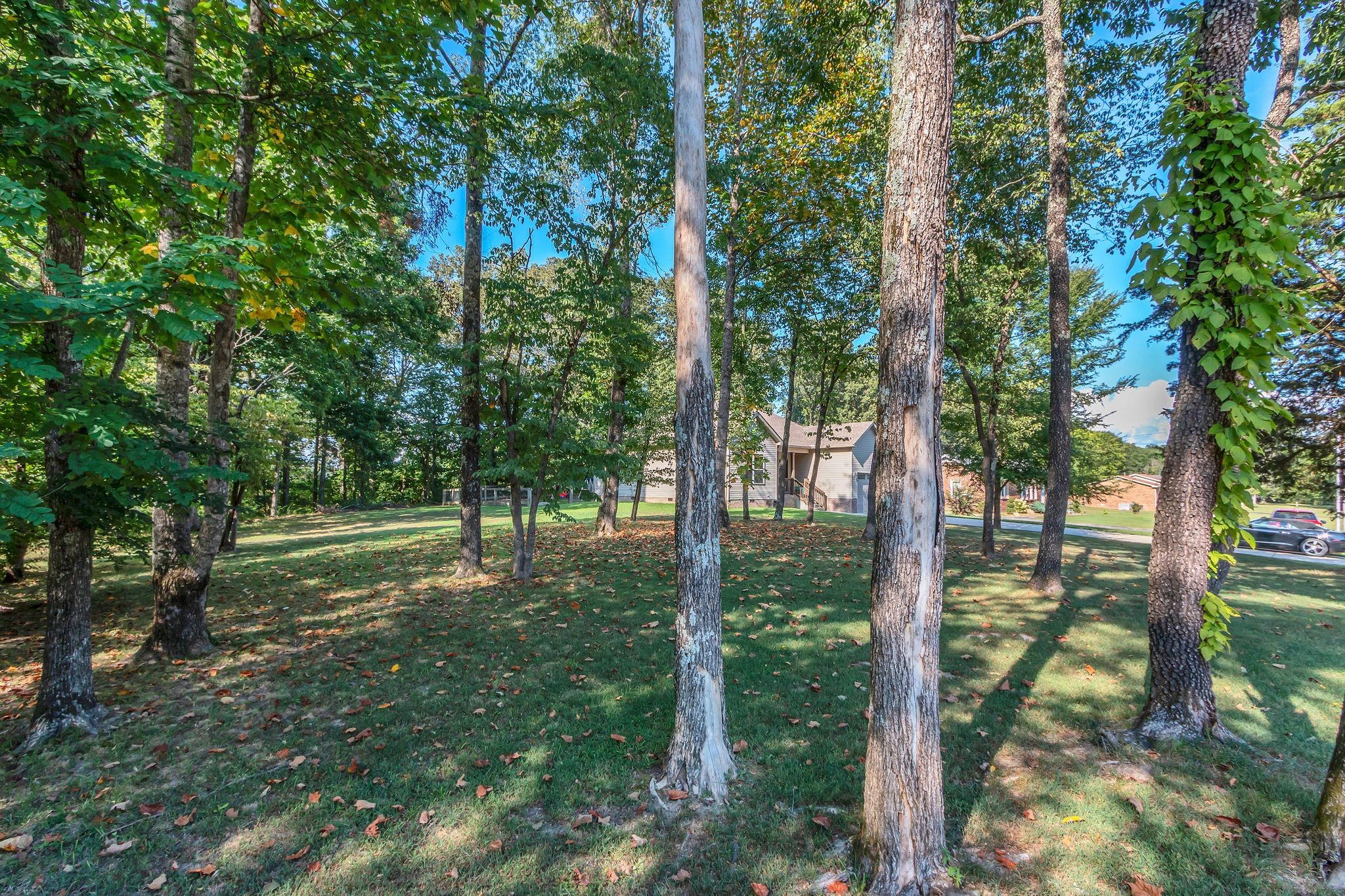 Burns, Tennessee 37029, United States, 3 Bedrooms Bedrooms, ,3 BathroomsBathrooms,Residential,Pending,188130