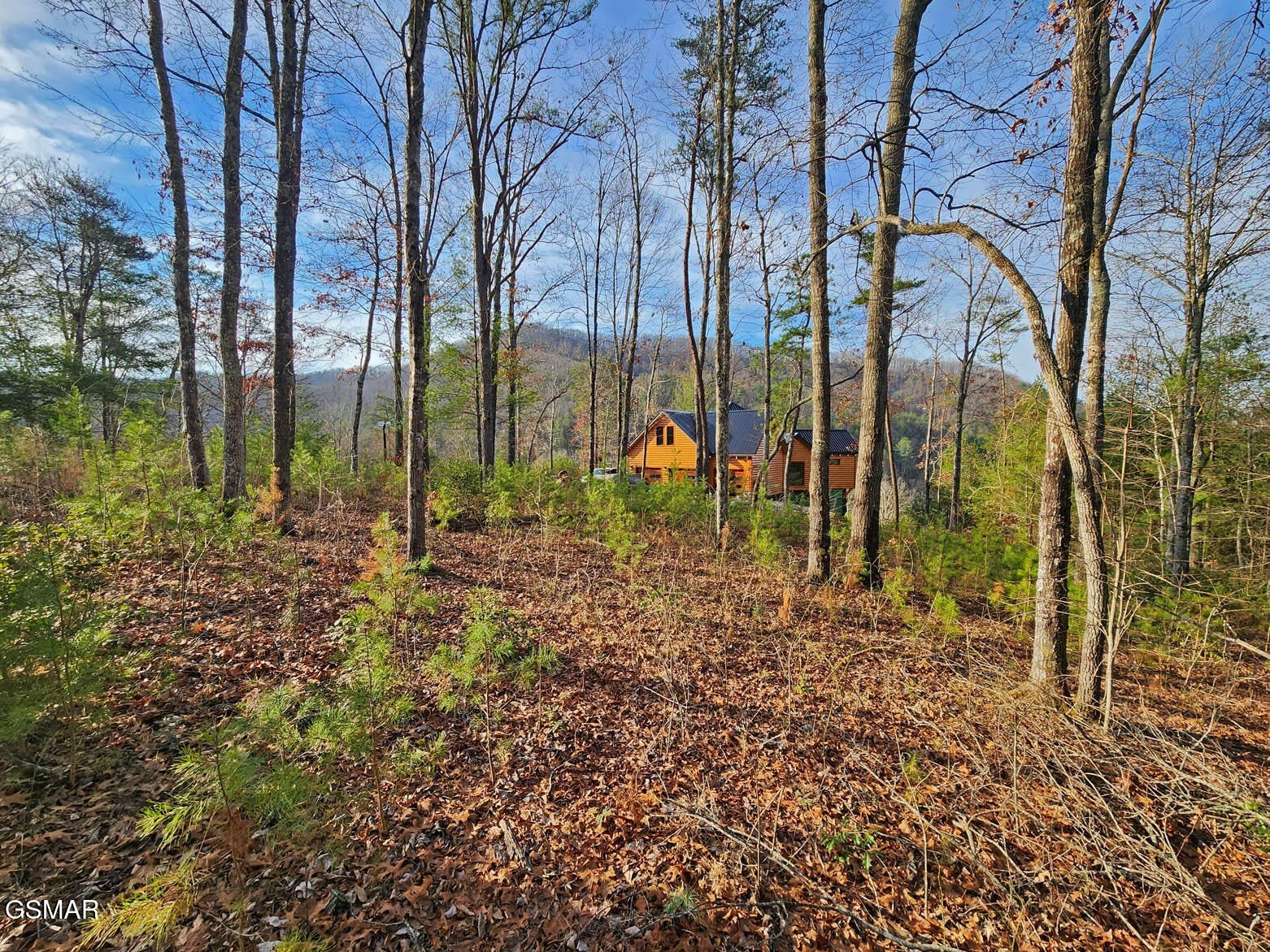 3 Mountain Ash Way