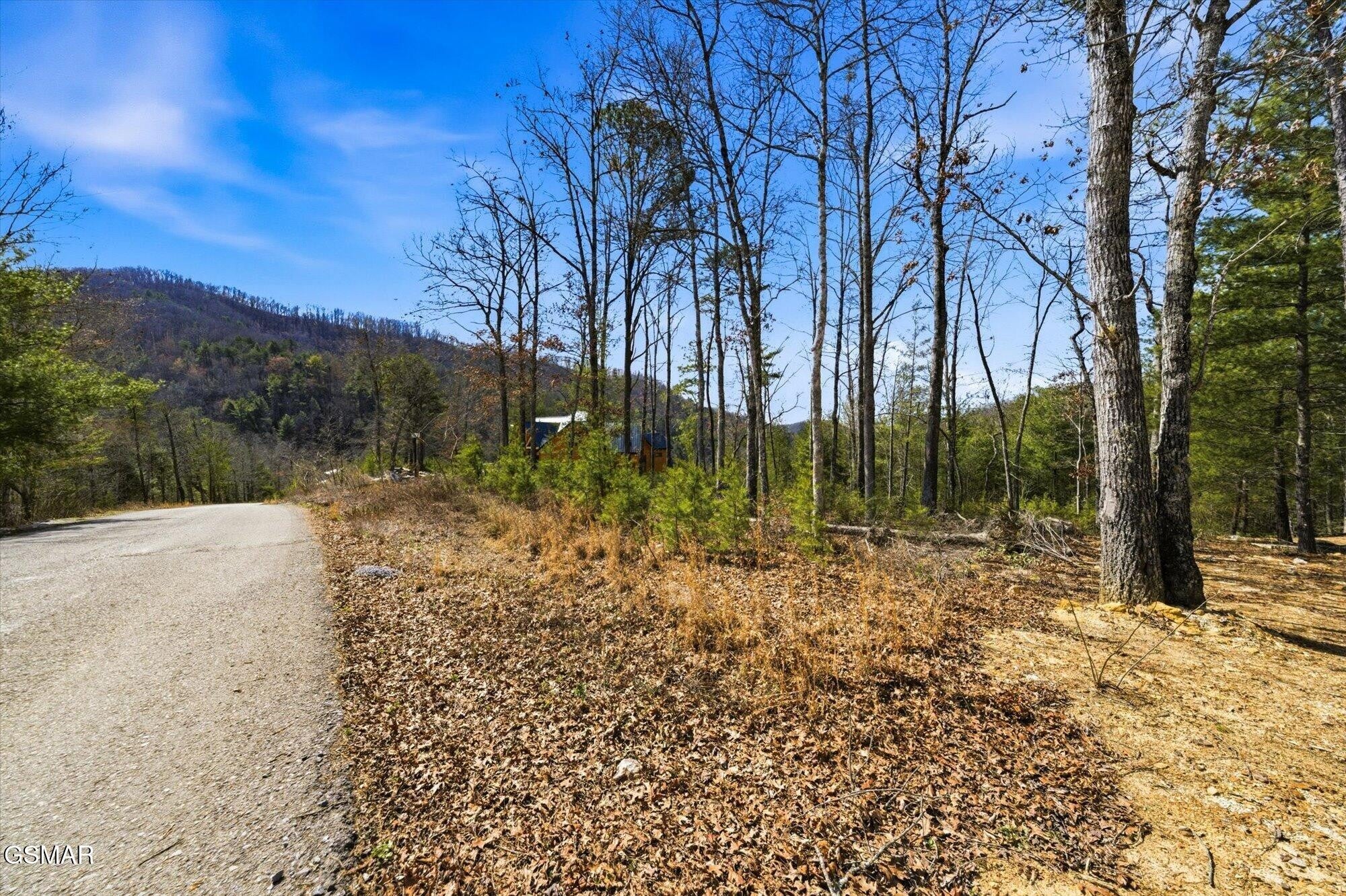 3 Mountain Ash Way
