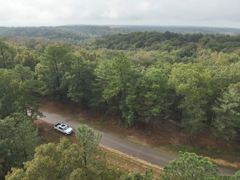 Photo of 46 Hardison Ln, Linden, TN 37096 (MLS # 3001911)