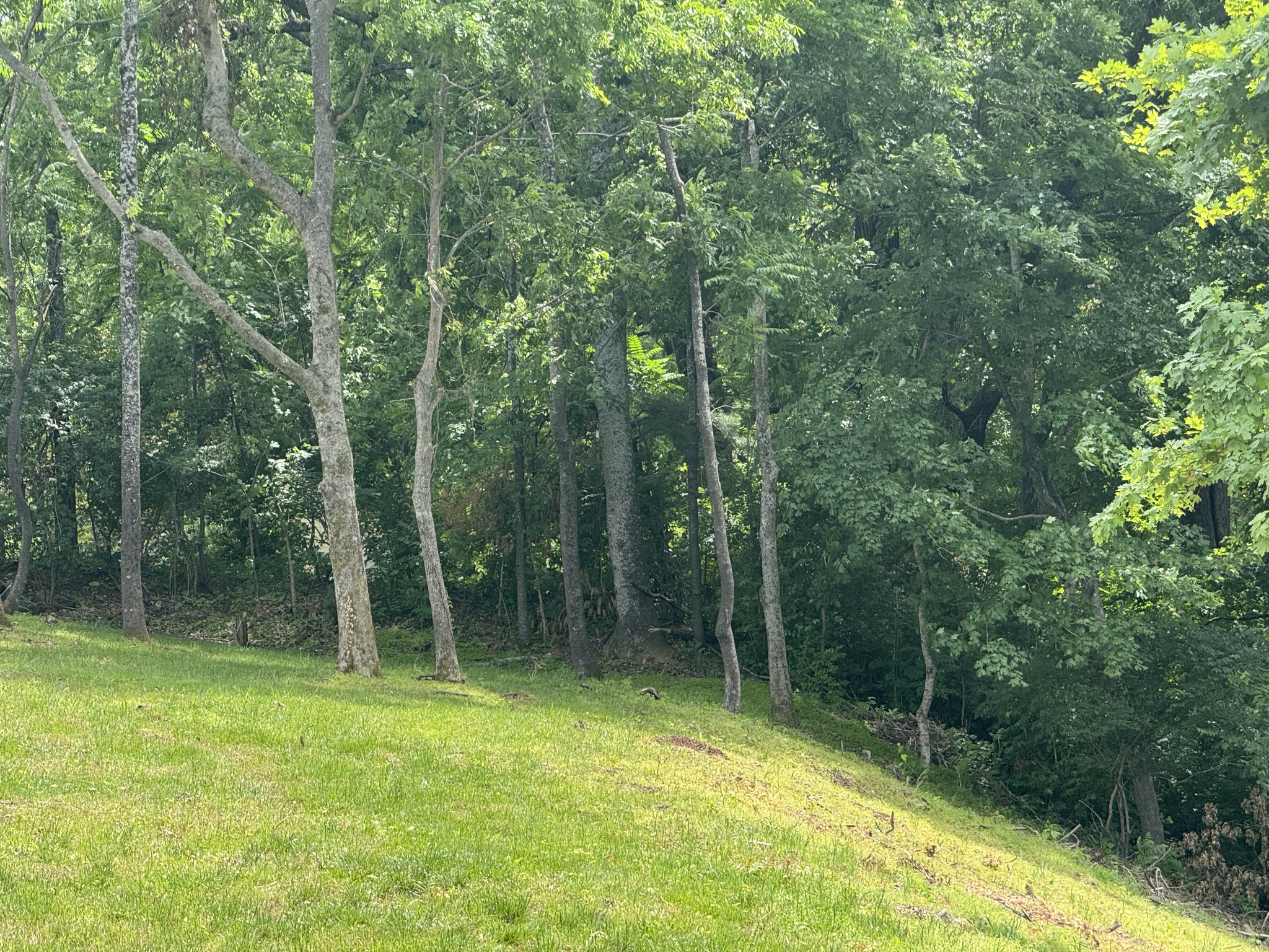 1121 Harpeth Ridge Rd, Franklin TN 37069 0-bed lot, photo 7 of 9