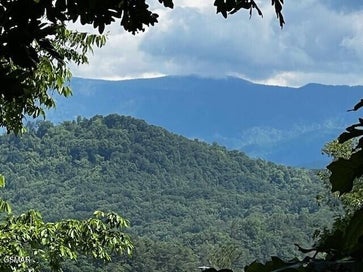 0 Chinquapin Drive Sevierville TN 37862