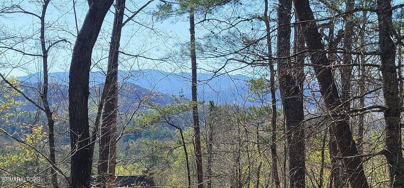 0 Chinquapin Drive