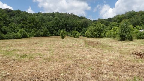 0 Lonnie Reecer Rd Celina TN 38551