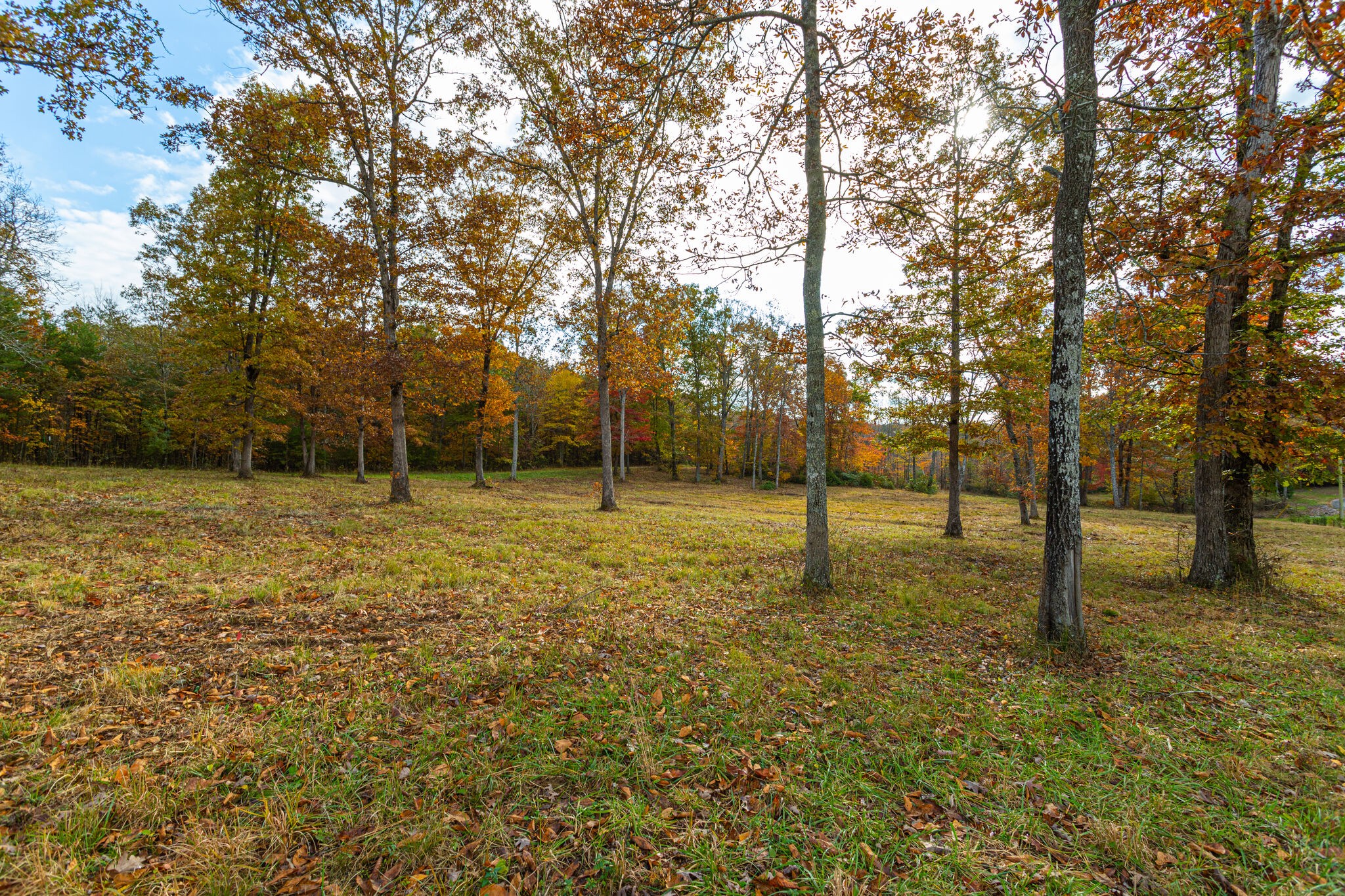 0 Monteagle Falls Rd