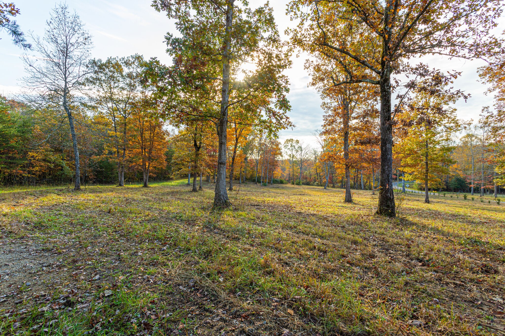 0 Monteagle Falls Rd