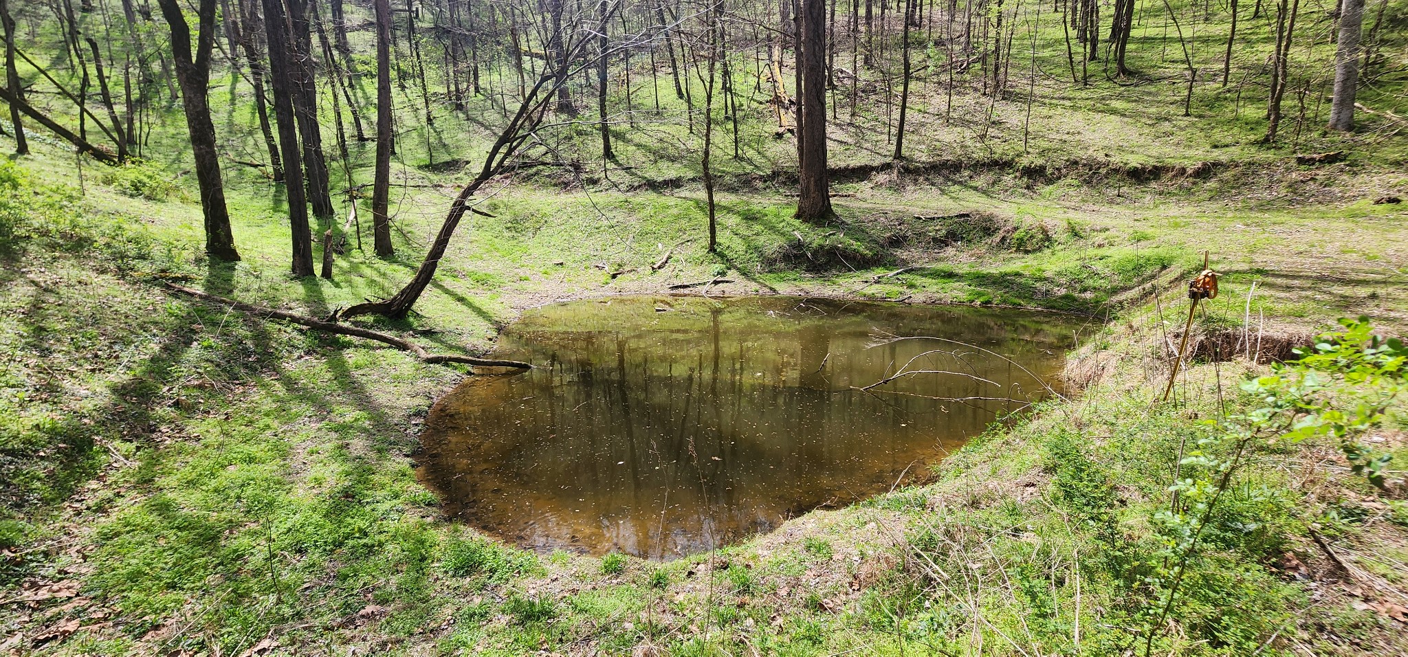 950 Chapman Hollow Rd