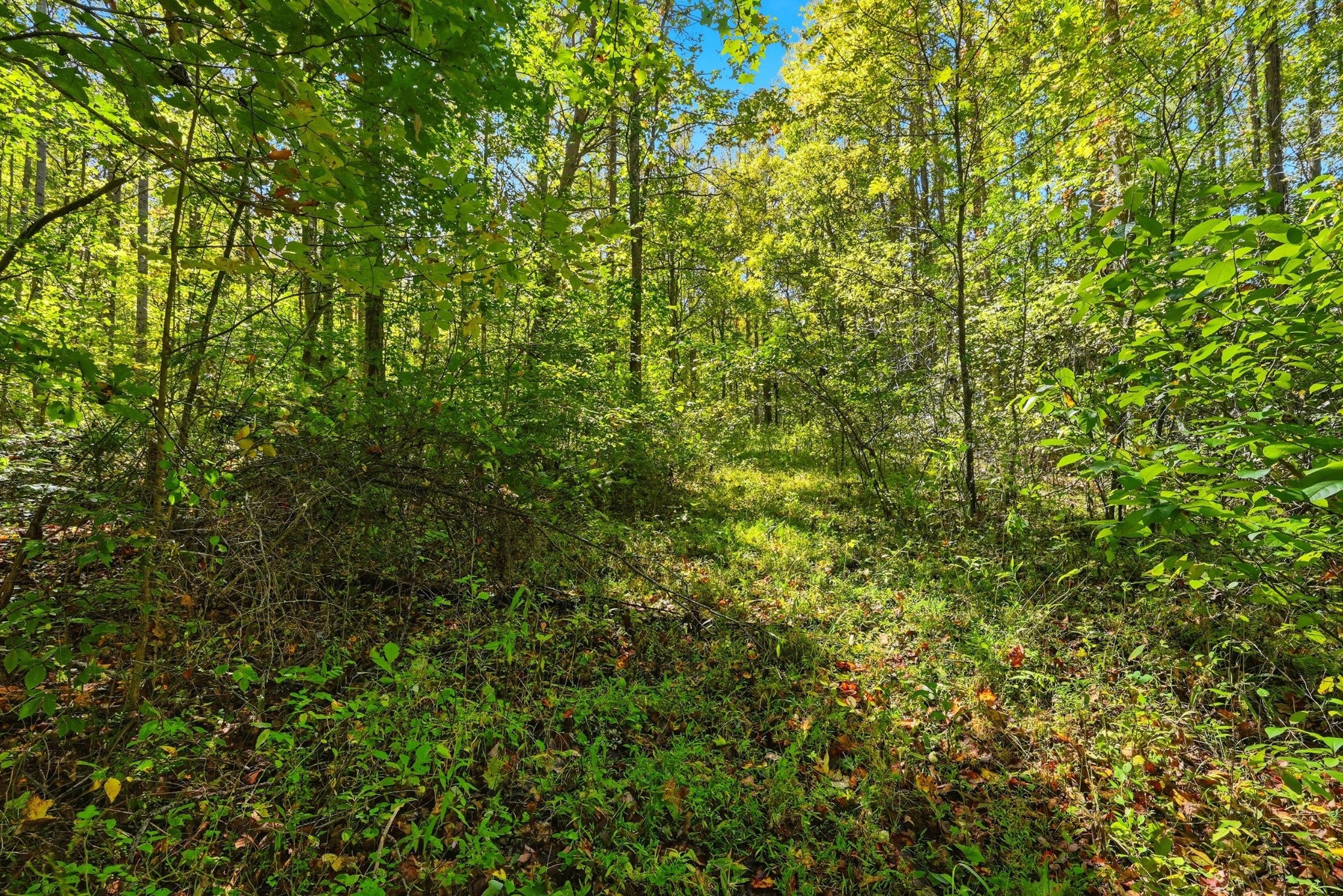 0 Timber Lake Drive