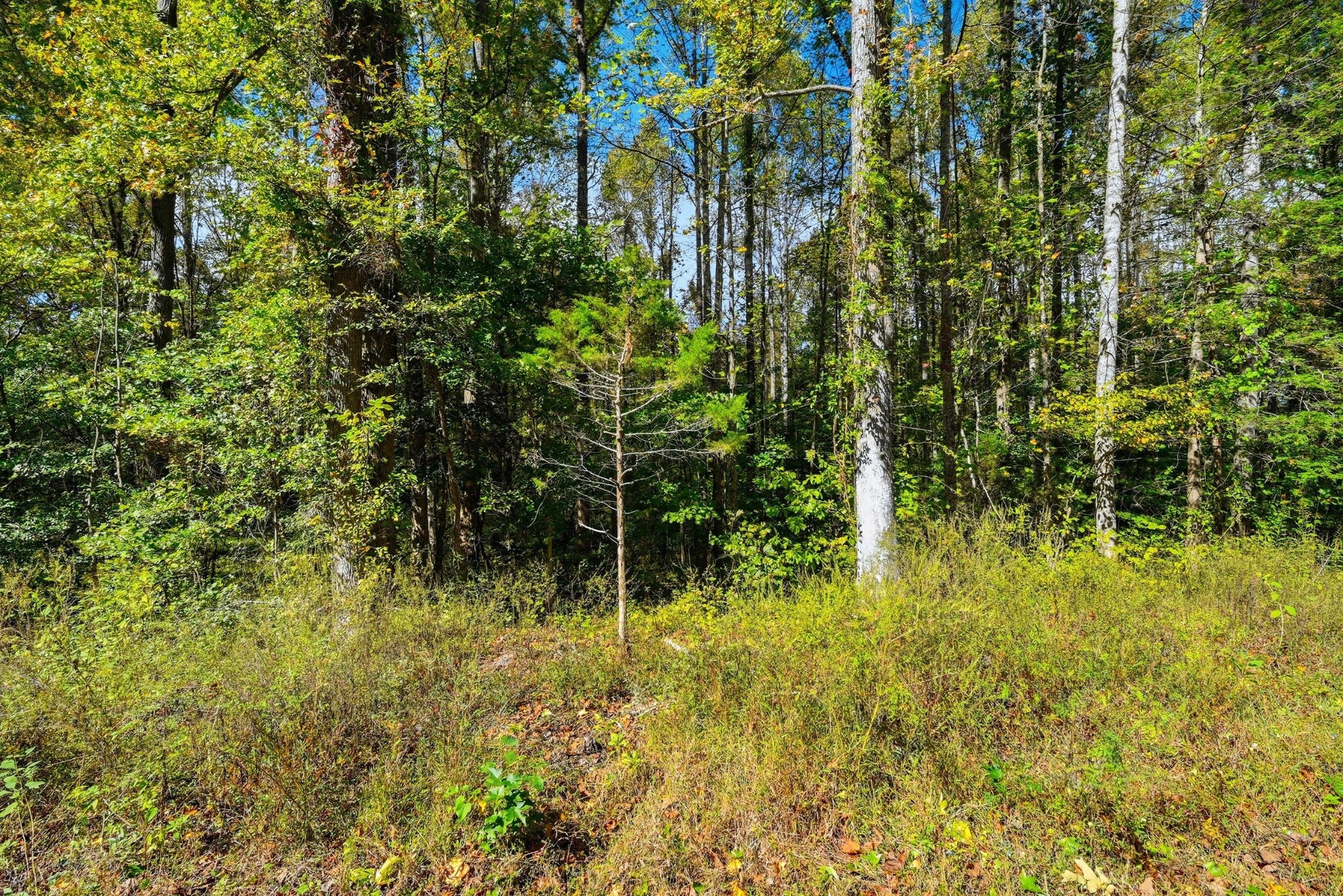 0 Timber Lake Drive