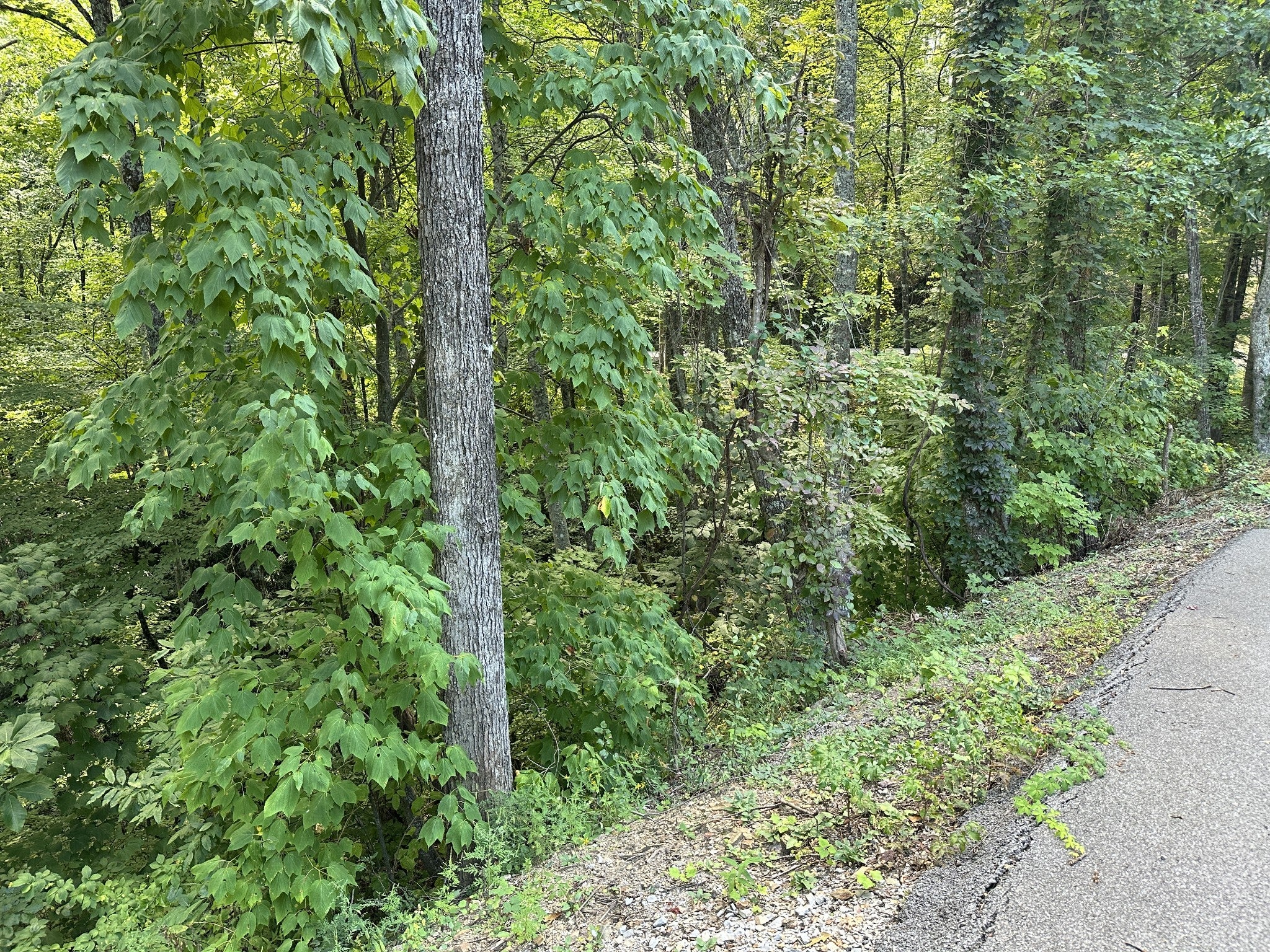 0 Upper Alpine Rd
