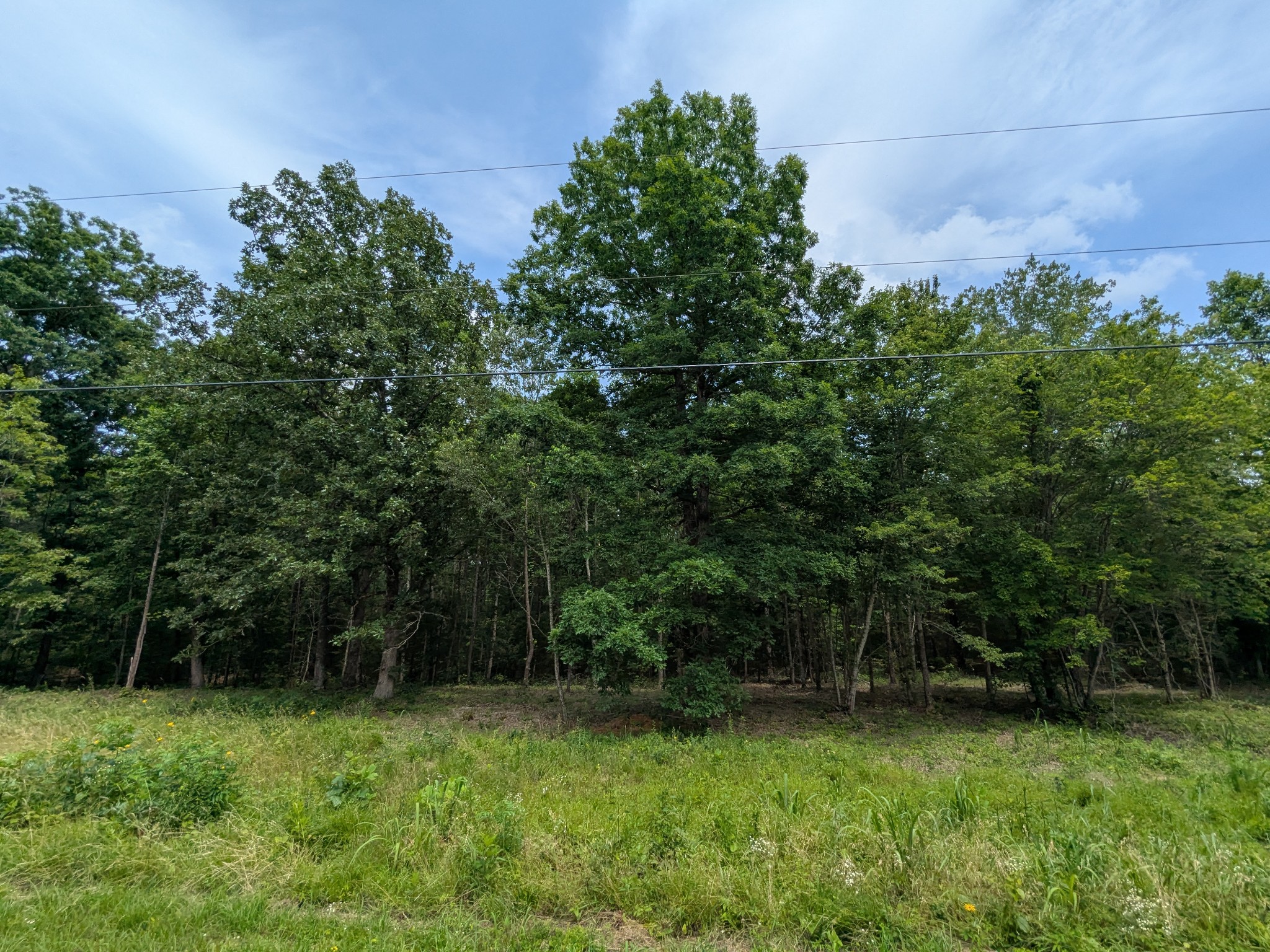 1 Brush Creek Road