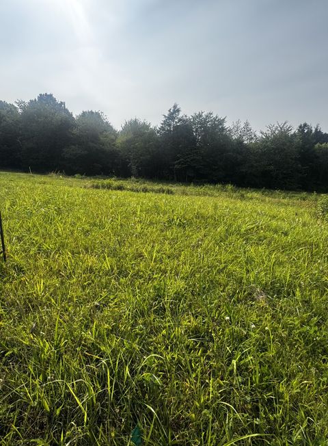 4050 Summit Dr Greenbrier TN 37073